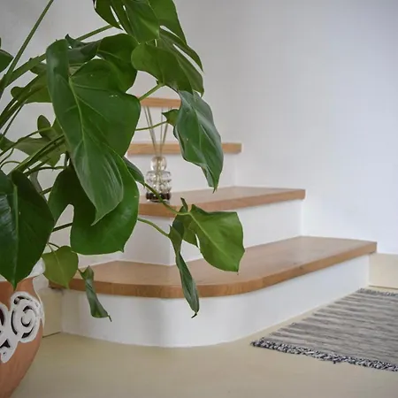 Bed and Breakfast La Luna Nel Pozzo 3*