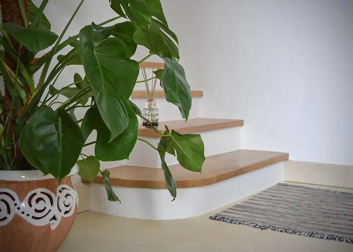 Bed & Breakfast La Luna Nel Pozzo 3*