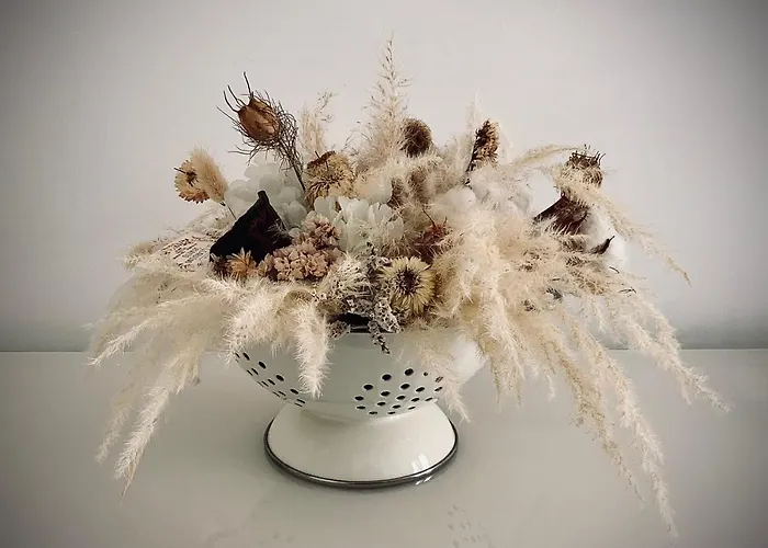 La Luna Nel Pozzo Botrugno